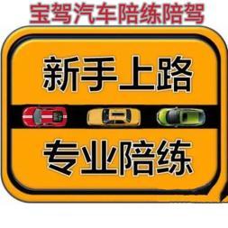 專業(yè)陪練陪駕針對(duì)c1c2本本族有駕駛證各種不敢自己開車上路的