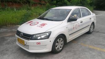 專業小車自動擋陪練陪駕服務，貼心包接送，助您輕松駕駛